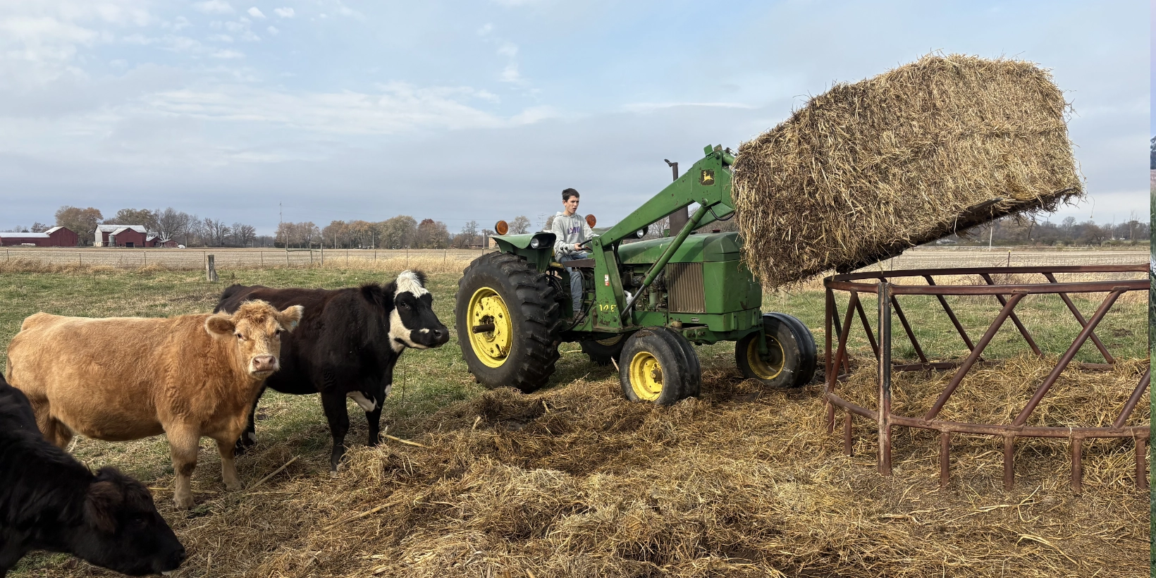 Best Quality Midwestern Beef